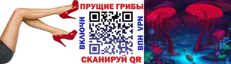 ссылка на мегу ссылка  Аркадак  Галлюциногенные грибы Cubensis 